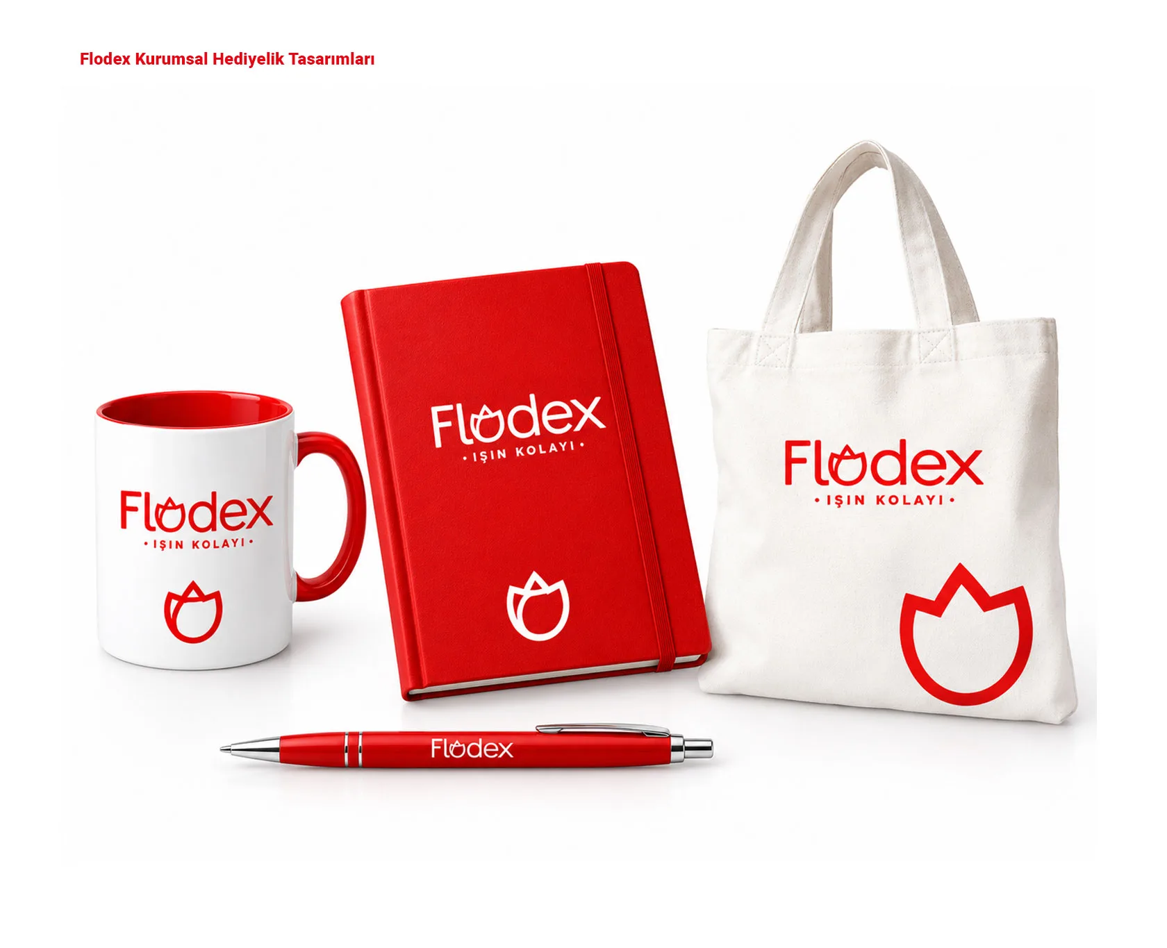 FLODEX proje uygulaması 6