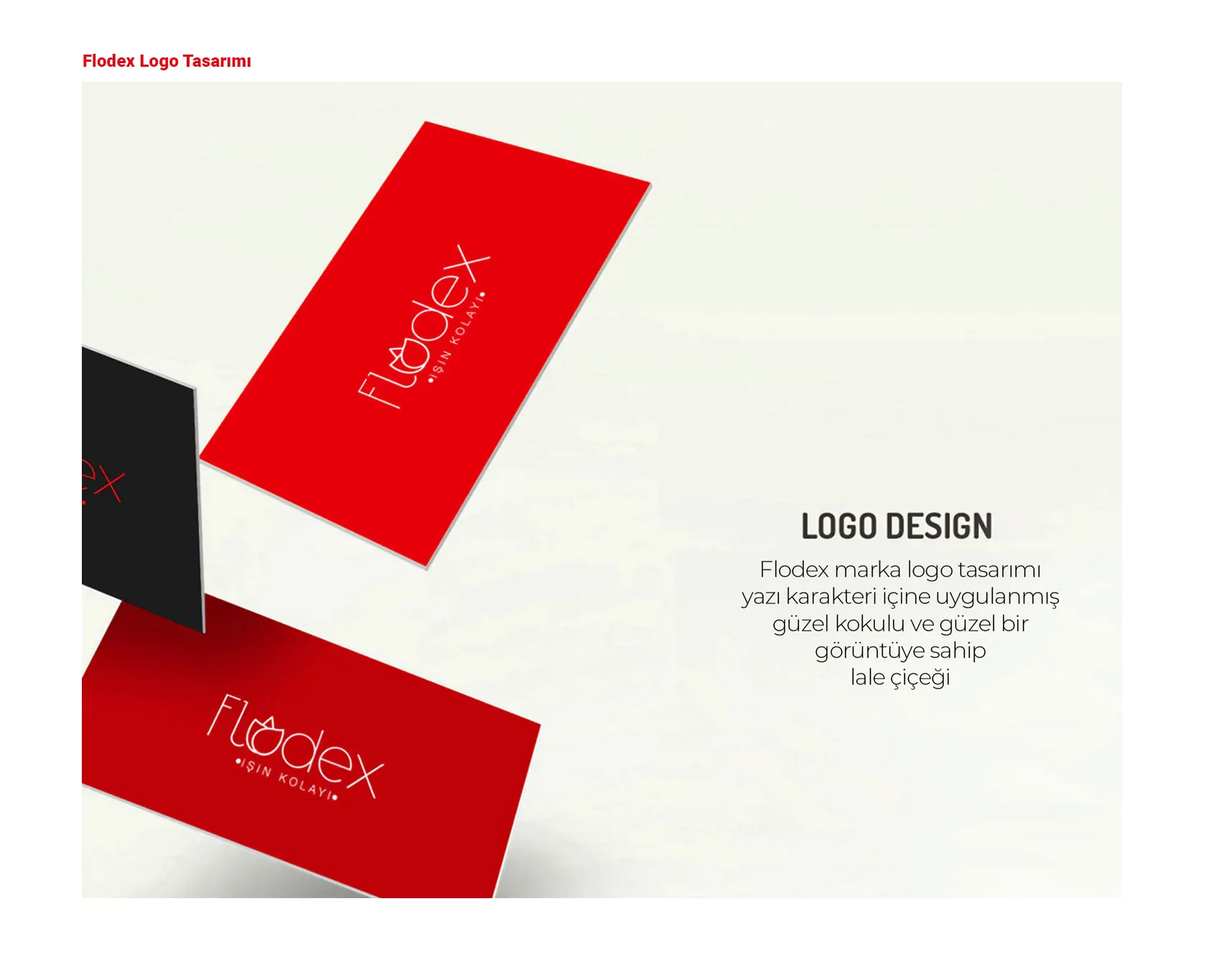 FLODEX proje uygulaması 3