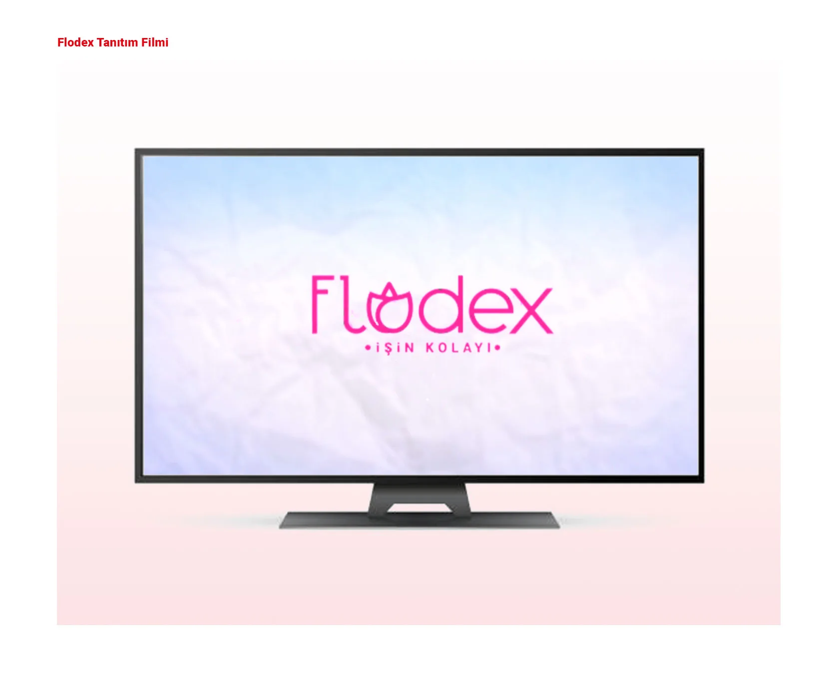 FLODEX proje uygulaması 16