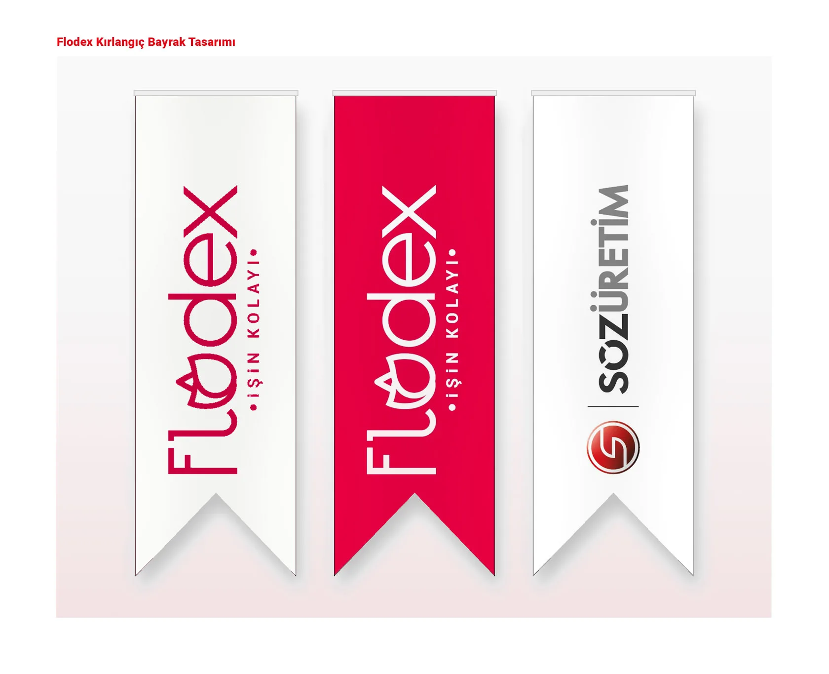 FLODEX proje uygulaması 7