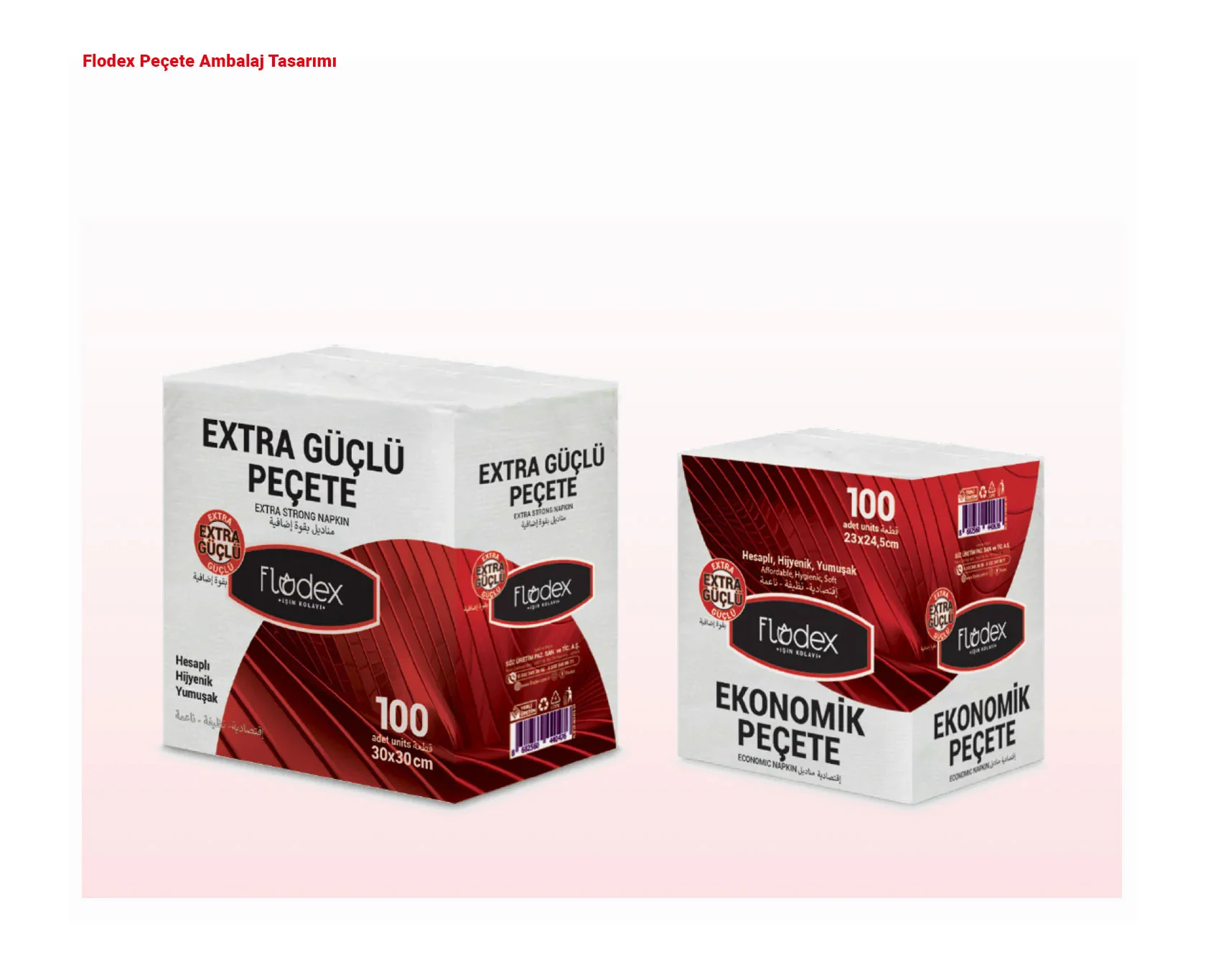 FLODEX proje uygulaması 22