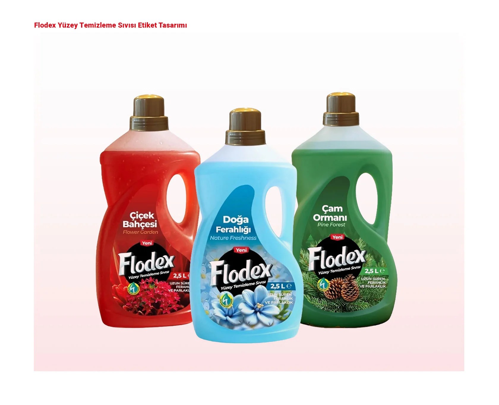 FLODEX proje uygulaması 20
