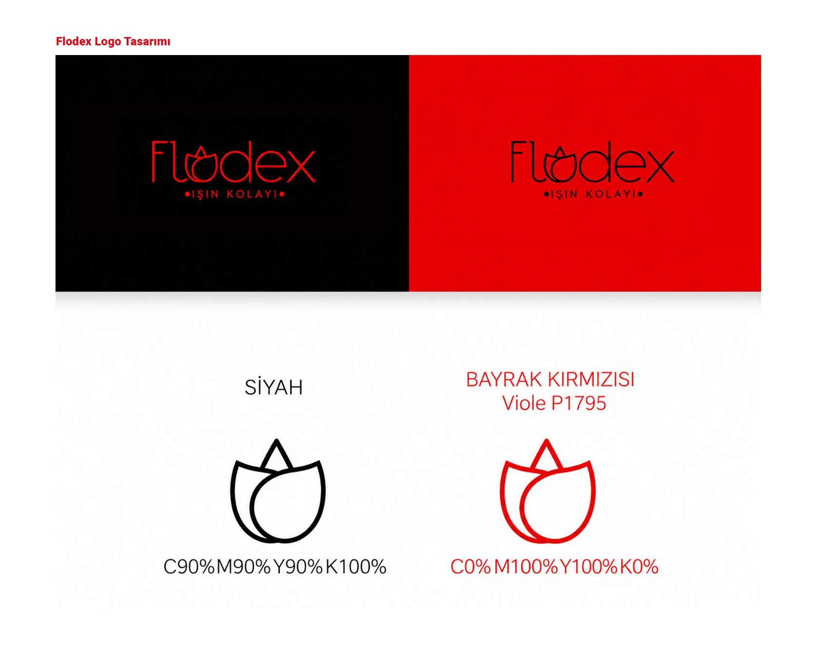 FLODEX proje uygulaması 2