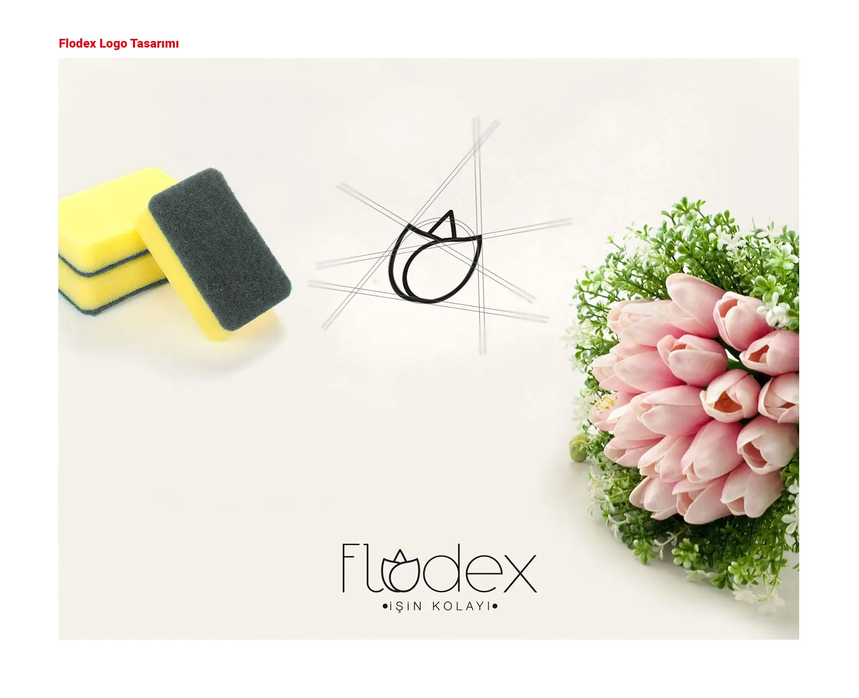 FLODEX proje uygulaması 1