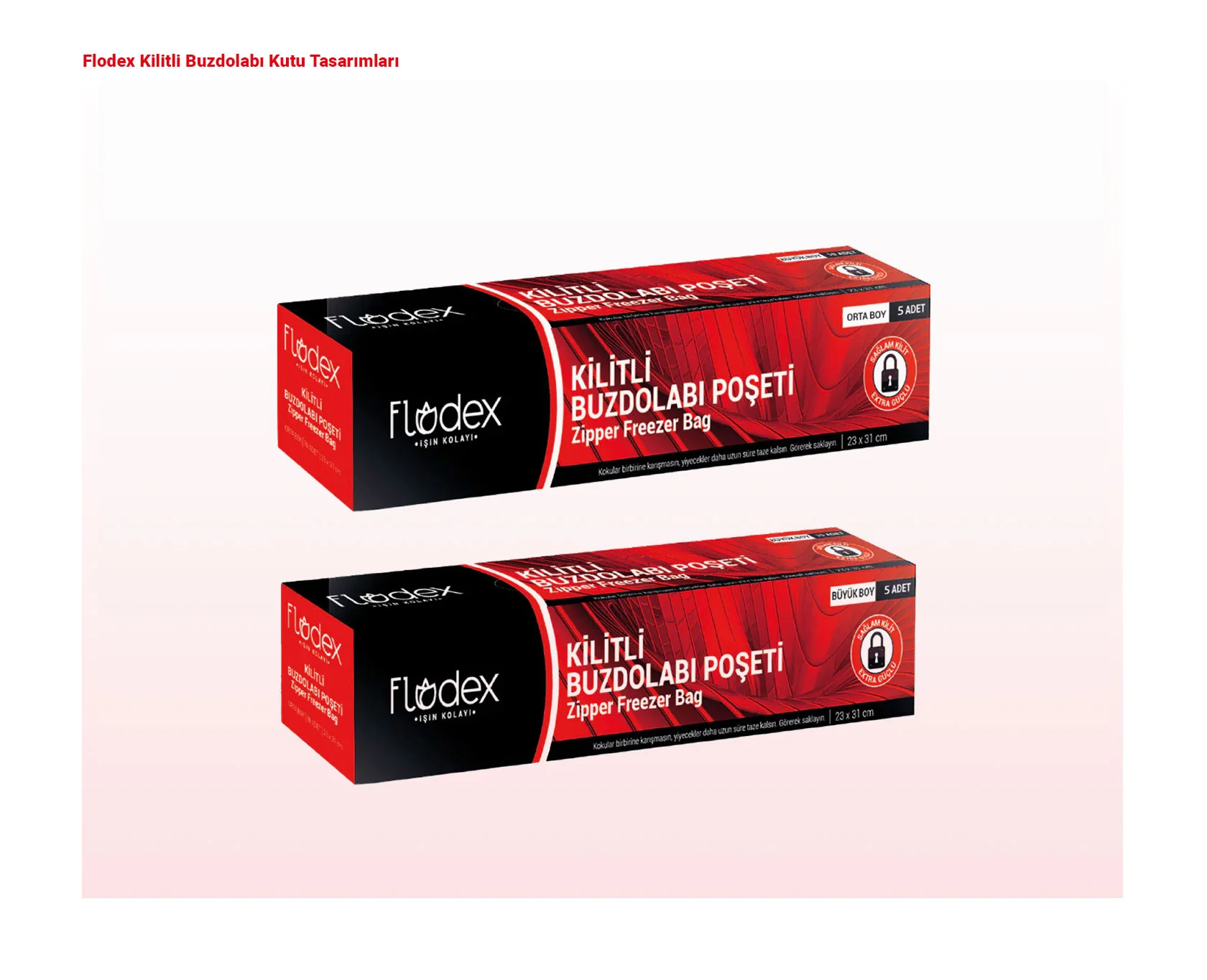 FLODEX proje uygulaması 28