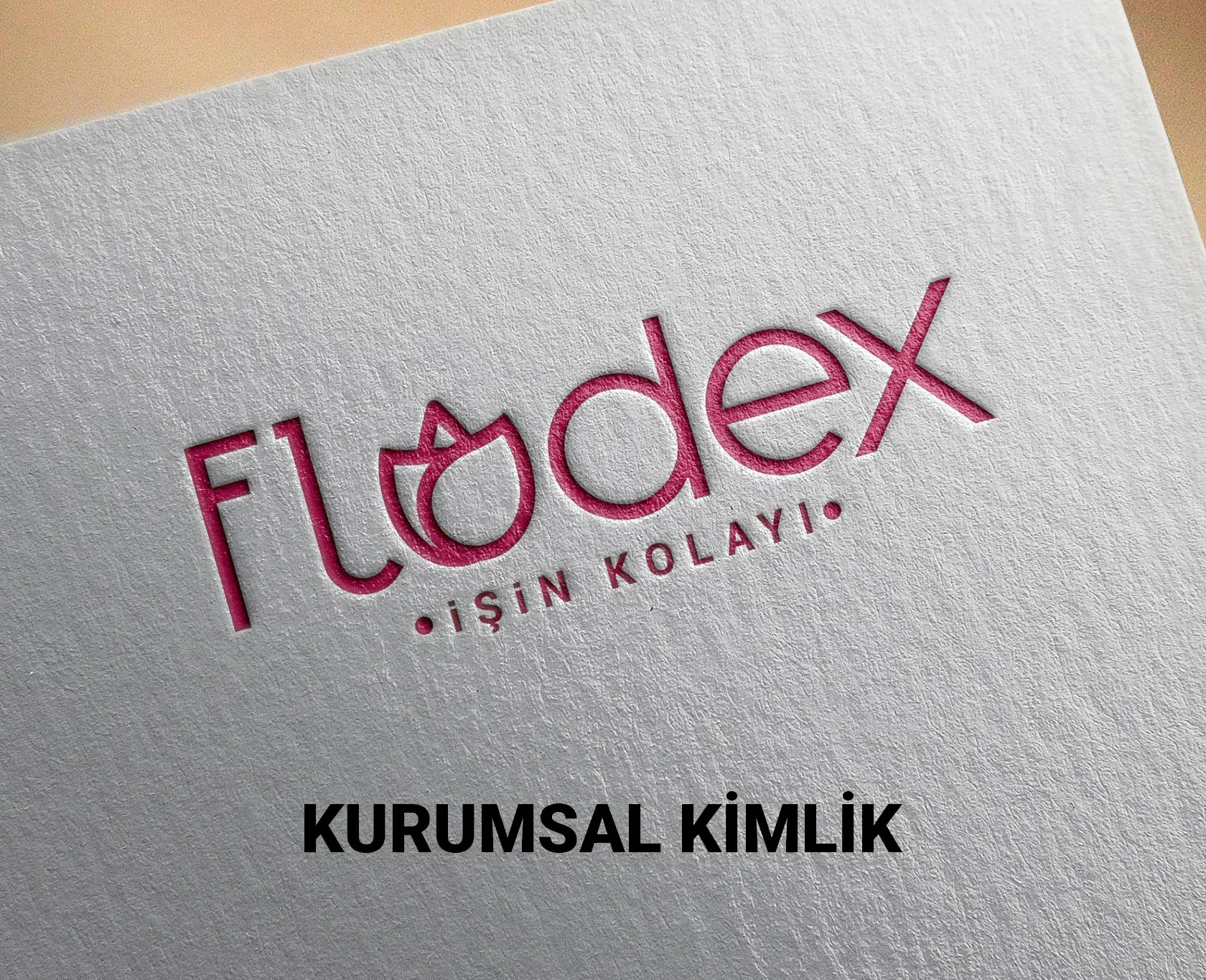 FLODEX projesi kapak görseli