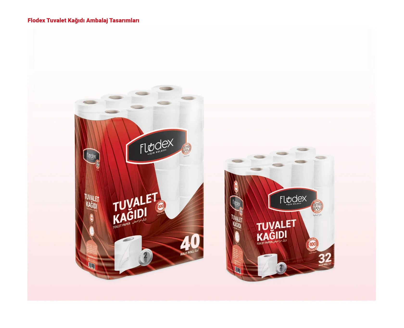 FLODEX proje uygulaması 21