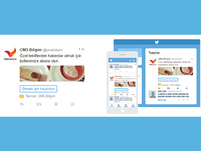 Twitter Reklamları
