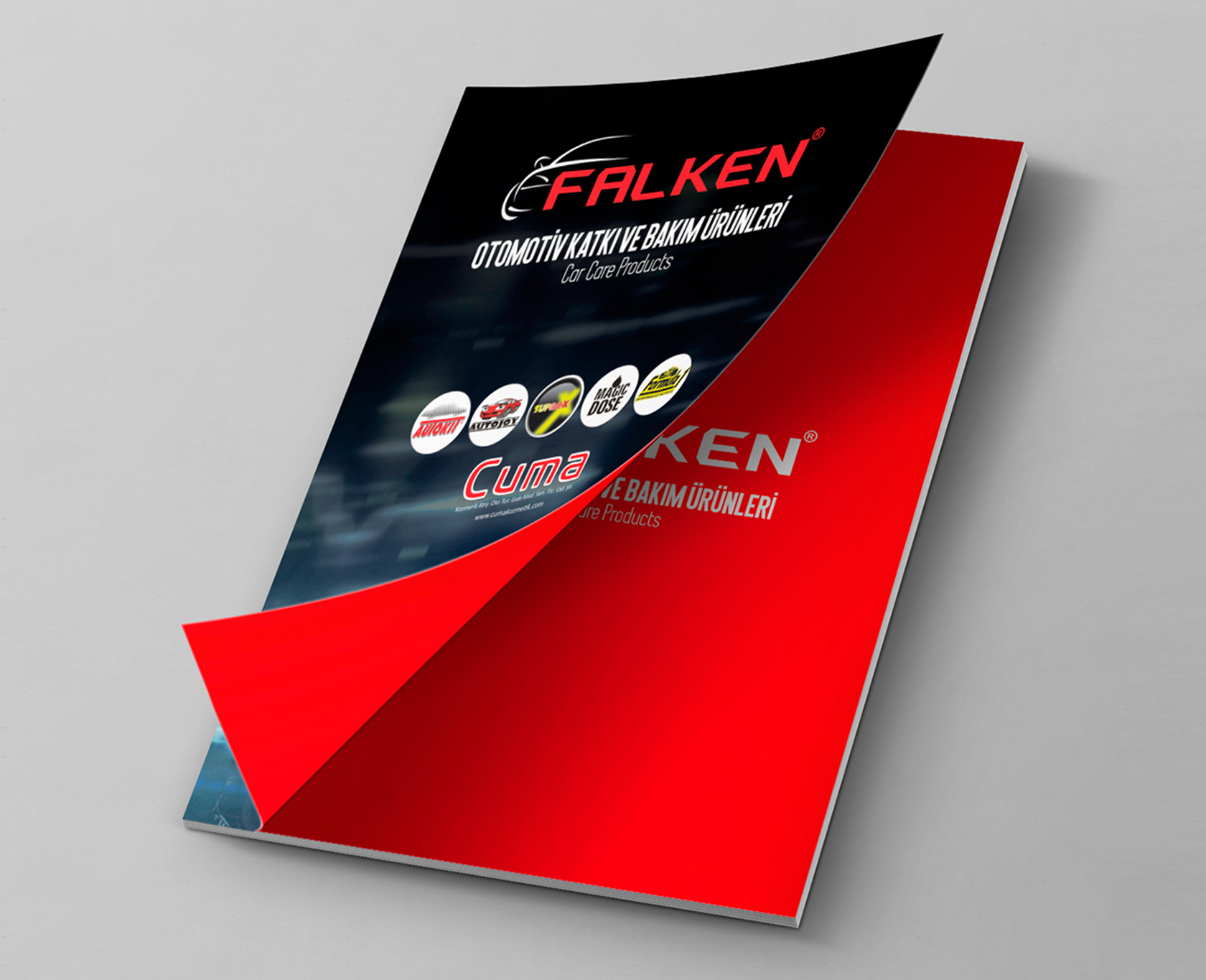 FALKEN 2019